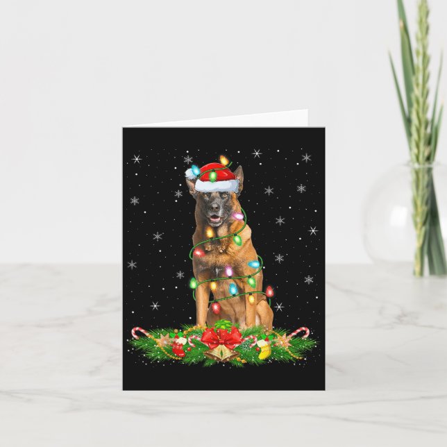 Tarjeta Navidades de perros malineses belgas iluminan a Sa (Anverso)
