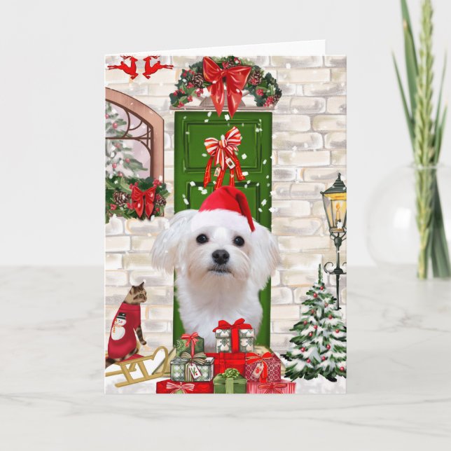 Tarjeta Navidades de perros malteses (Anverso)