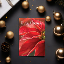 Navidades de Poinsettia Roja