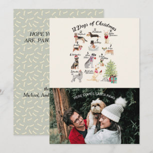 Tarjeta Navidades Foto de 12 Navidades de perros con Santa