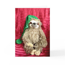 Navidades Foto Sloth