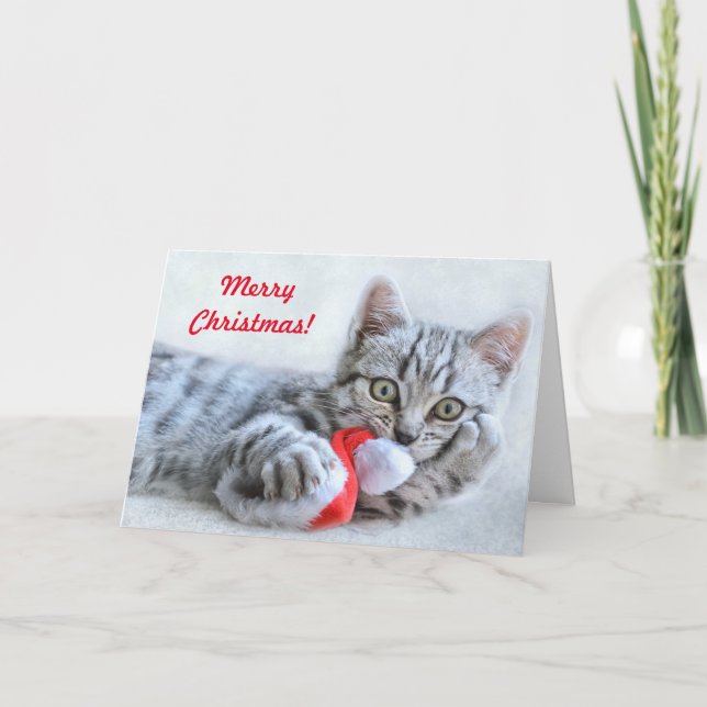 Tarjeta Navidades Gatitos Jugadores De Feliz Navidad (Anverso)