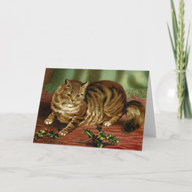 Tarjeta Navidades gatos de Victoria Card Helena Maguire (Anverso)