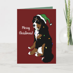 Tarjeta Navidades Holiday Bernese Mountain Dog