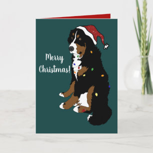 Tarjeta Navidades Holiday Bernese Mountain Dog