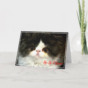 Tarjeta Navidades Holiday blanco negro y esponjoso Kitten