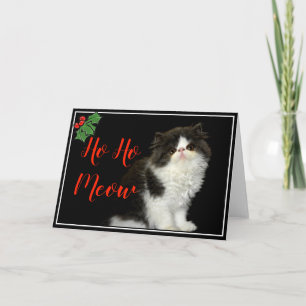 Tarjeta Navidades Holiday blanco negro y esponjoso Kitten