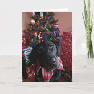 Tarjeta Navidades - Laboratorio Negro