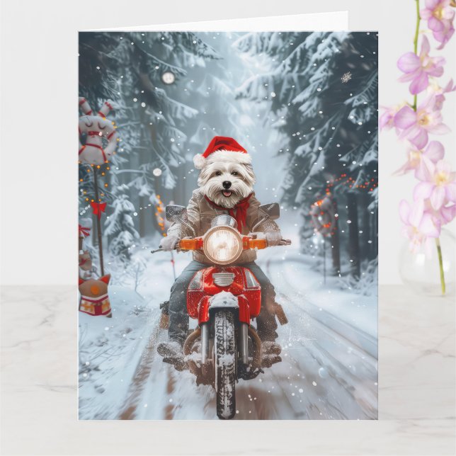 Tarjeta Navidades malteses de ciclismo de perros (Orquídea)
