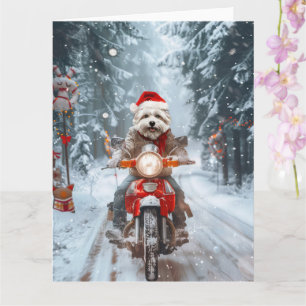 Tarjeta Navidades malteses de ciclismo de perros