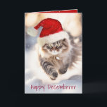 Tarjeta Navidades Manejan Gato En Nieve<br><div class="desc">Feliz gato de Maine Coon con un gorra de Santa Claus corriendo con copos de nieve. Todo el texto es editable.</div>