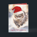 Tarjeta Navidades Manejan Gato En Nieve<br><div class="desc">Feliz gato de Maine Coon con un gorra de Santa Claus corriendo con copos de nieve. Todo el texto es editable.</div>
