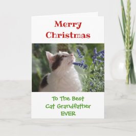 Tarjeta Navidades Mejor Abuelo De Gato. Foto