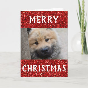 Tarjeta Navidades mejor perro papá Mascota foto