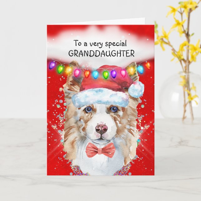 Tarjeta Navidades nieta de la frontera de Collie desea a S (flor amarilla)