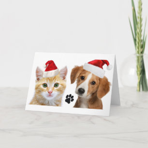 Tarjeta Navidades Perro gato Mascotas lindo Navidad Navida
