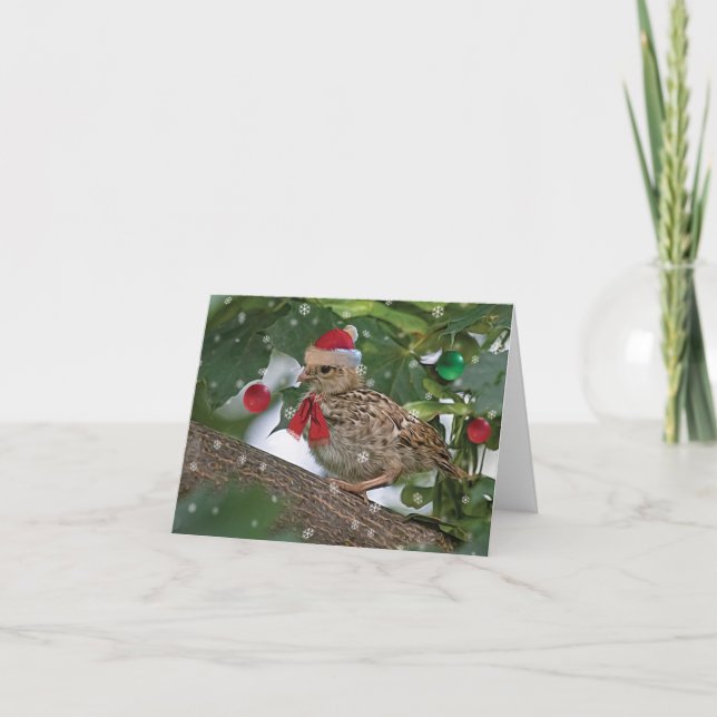 Tarjeta Navidades Quail Chick (Anverso)