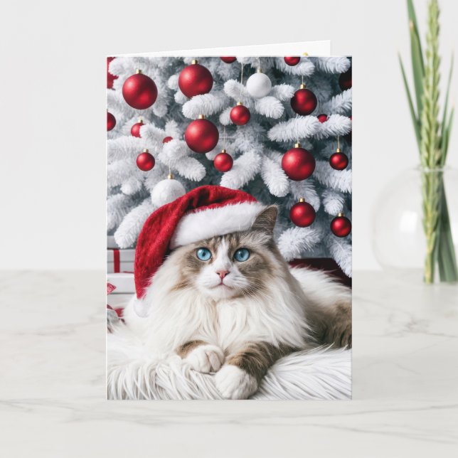 Tarjeta Navidades Ragdoll Cat en Santa Hat (Anverso)