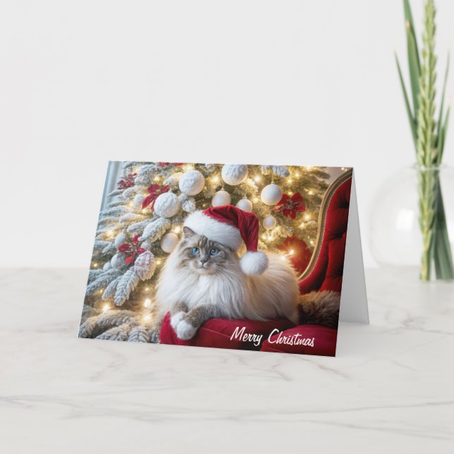 Tarjeta Navidades Ragdoll Cat sobre una silla vintage (Anverso)