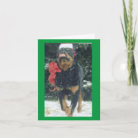 navidades rottweiler con pañuelo de sombrero santa