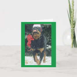 Tarjeta navidades rottweiler con pañuelo de sombrero santa
