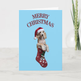 Tarjeta Navidades Saluki Stocking
