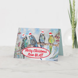 Tarjeta Navidades Santa Budgies Budgie Funny Bird Card