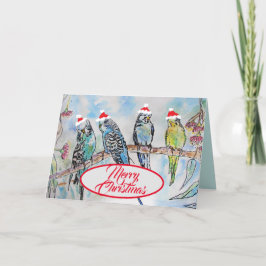 Tarjeta Navidades Santa Budgies Budgie Funny Bird Card