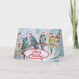 Tarjeta Navidades Santa Budgies Budgie Funny Bird Card