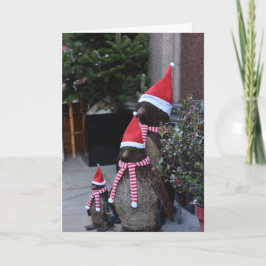 Tarjeta Navidades Santa Penguins Pavilion Road Londres Rei