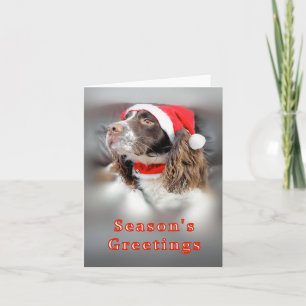 Tarjeta Navidades Springer Spaniel
