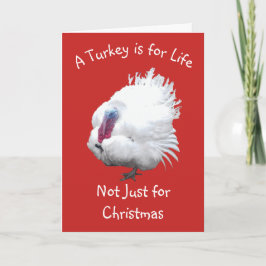 Tarjeta Navidades Vegan de Turquía