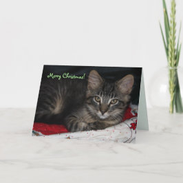 Tarjeta navideña Caspio Merry