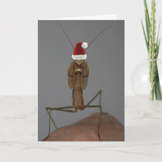 Tarjeta navideña para rezar a Mantis (Anverso)