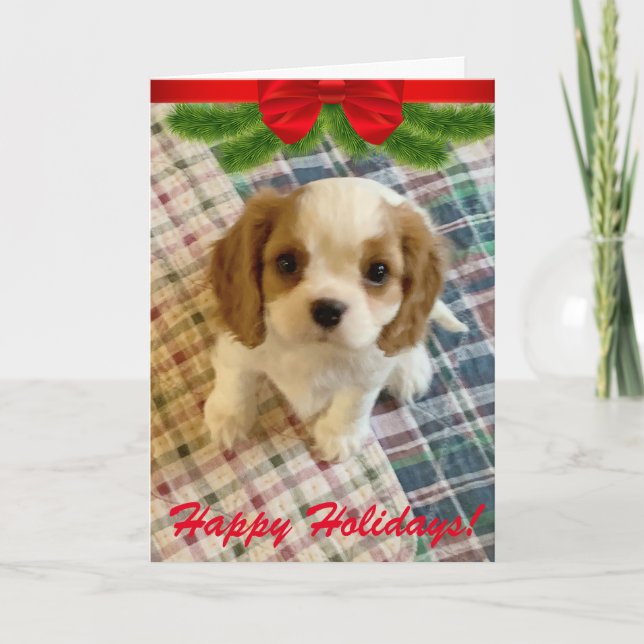 Tarjeta naviera Cavalier Spaniel (Anverso)