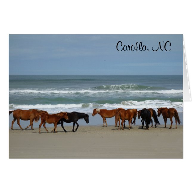 Tarjeta NC de Corolla para caballos salvajes (Anverso (Horizontal))