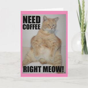 Tarjeta ¡NECESITO CAFÉ AHORA MISMO! Gato Manx Sentado Dive
