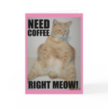 ¡NECESITO CAFÉ BIEN! Manx Cat Sitting Funny