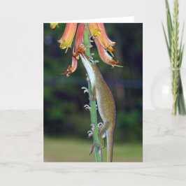 Tarjeta Néctar de consumición de Anole de las flores