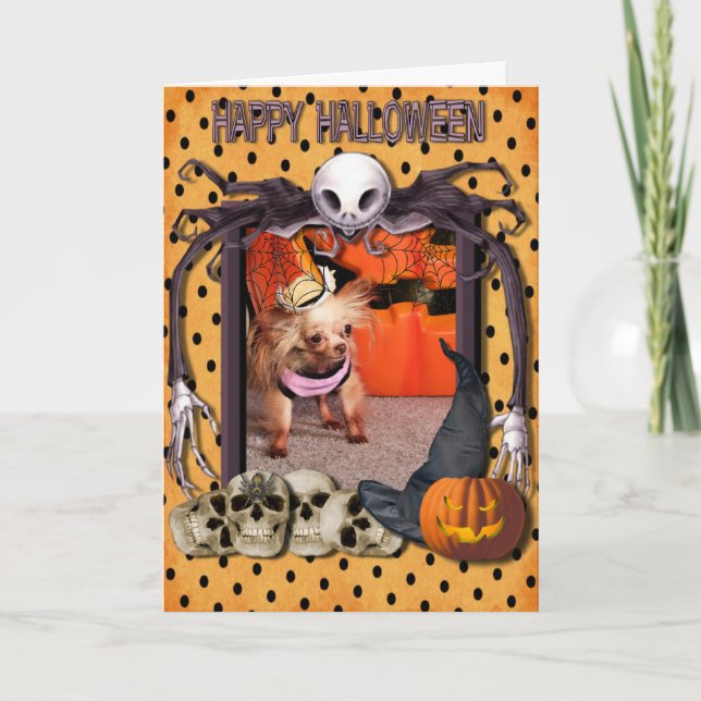 Tarjeta Neerlandesa - Chihuahua - Photo-7 (Anverso)