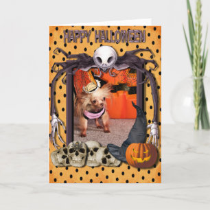 Tarjeta Neerlandesa - Chihuahua - Photo-7