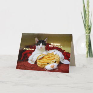 Tarjeta Nefeto Gatito feliz de cumpleaños con tigre de jug