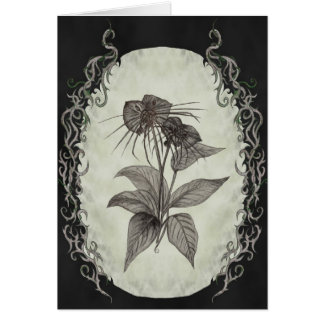 Tarjeta negra de la planta del palo