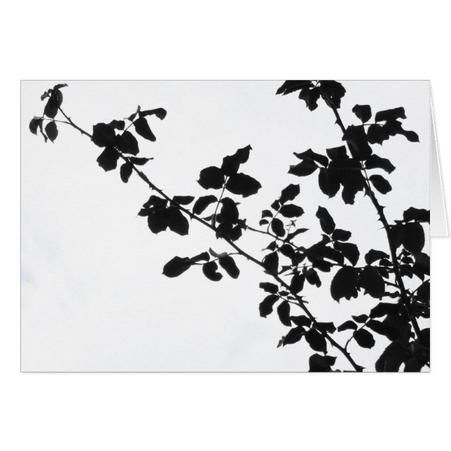 Tarjeta negra de las ramas (Anverso (Horizontal))