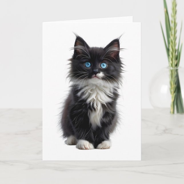 Tarjeta Negro y blanco gato de larga duración ojos azules  (Anverso)
