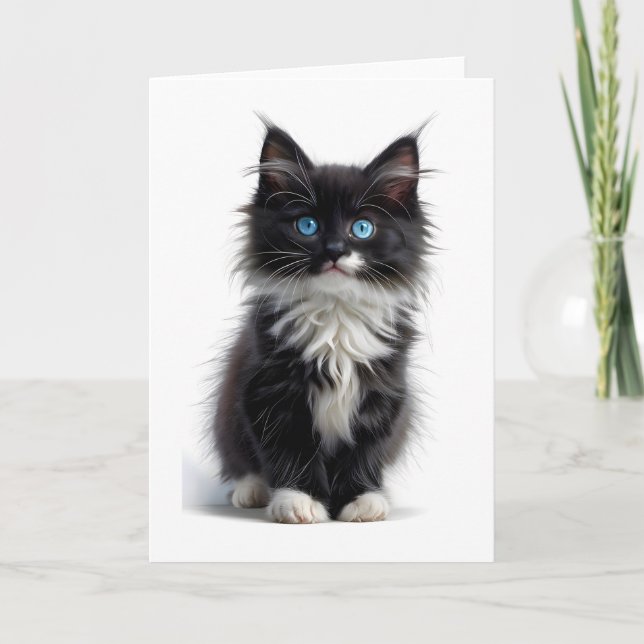 Tarjeta Negro y blanco gato de larga duración ojos azules  (Anverso)