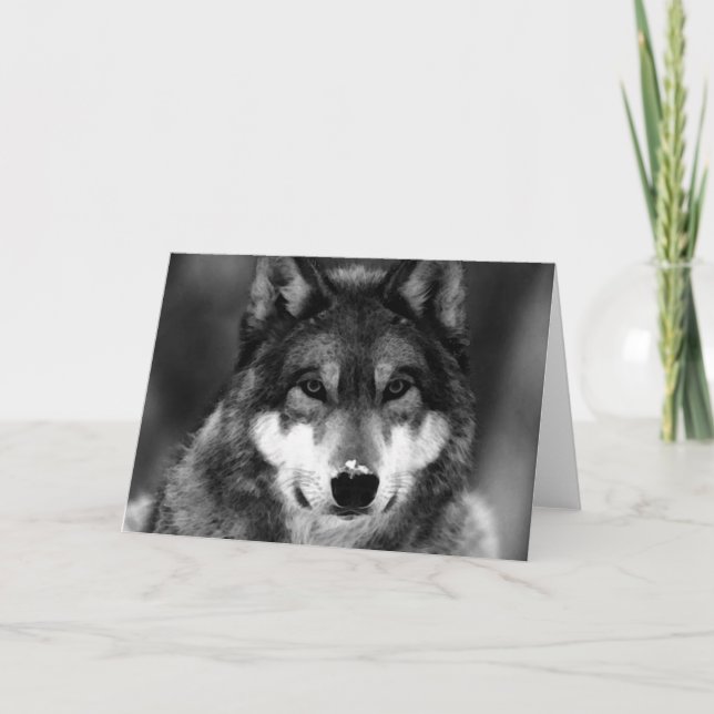 Tarjeta Negro y White Wolf (Anverso)