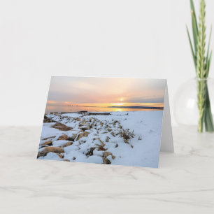 Tarjeta Nelson Park Plymouth Massachusetts