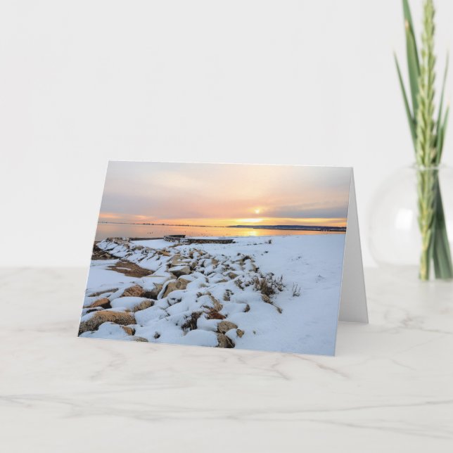 Tarjeta Nelson Park Plymouth Massachusetts (Anverso)