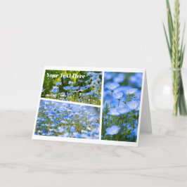 Tarjeta NEMOPHILA（Baby Blue Eyes）